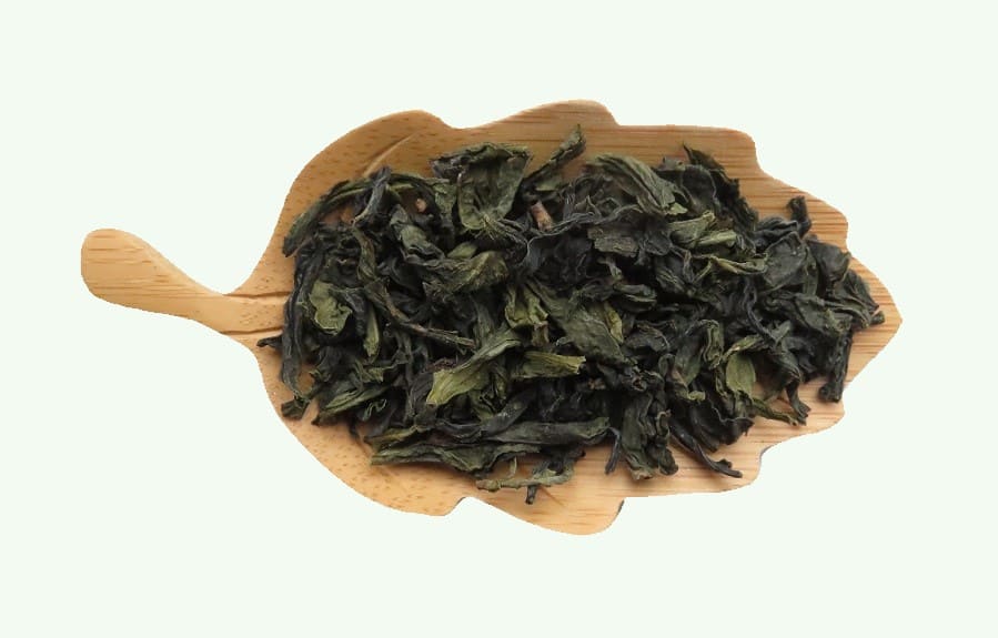 Dry leaves of Pouchong oolong tea