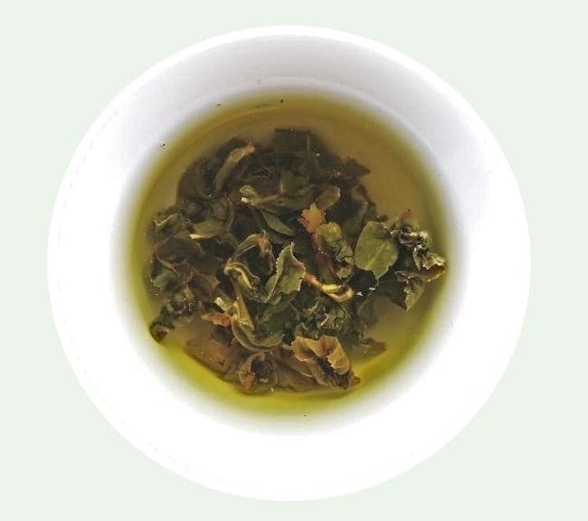 Infusion in a cup of Four Seasons oolong tea